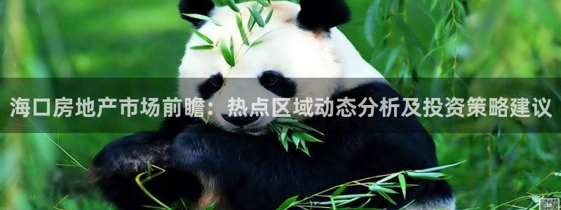 新宝5娱乐然：海口房地产市场前瞻：热点区域动态分析及投资策略