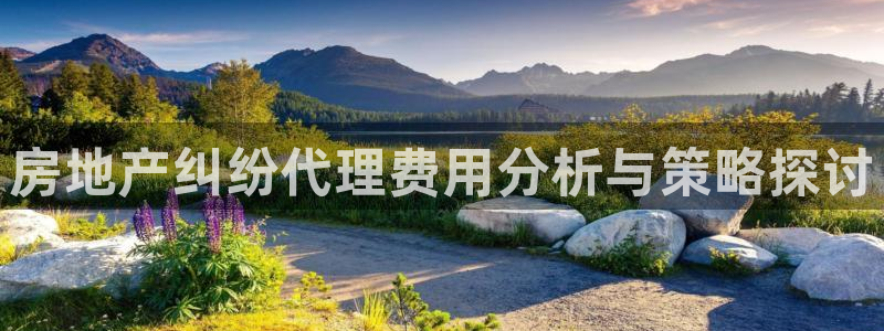 新宝5寻33 300球：房地产纠纷代理费用分析与策略探讨