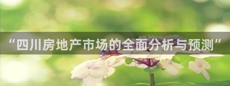 新宝5玩法：“四川房地产市场的全面分析与预测”