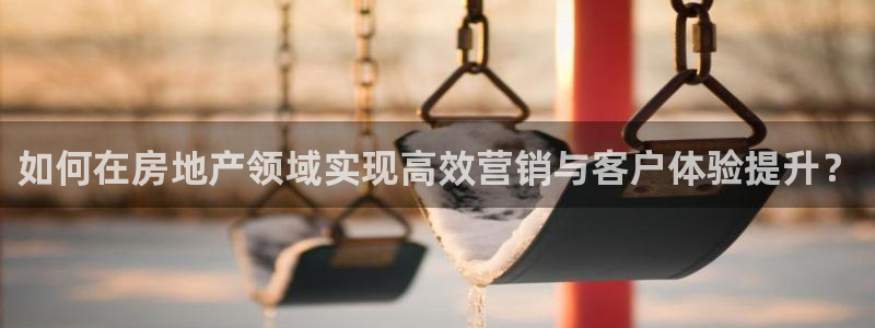 新宝股东王听2 5 5：如何在房地产领域实现高效营销与客户体