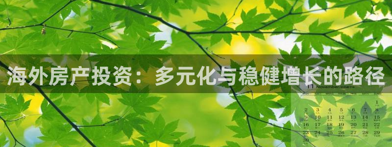 新宝5娱乐登录：海外房产投资：多元化与稳健增长的路径
