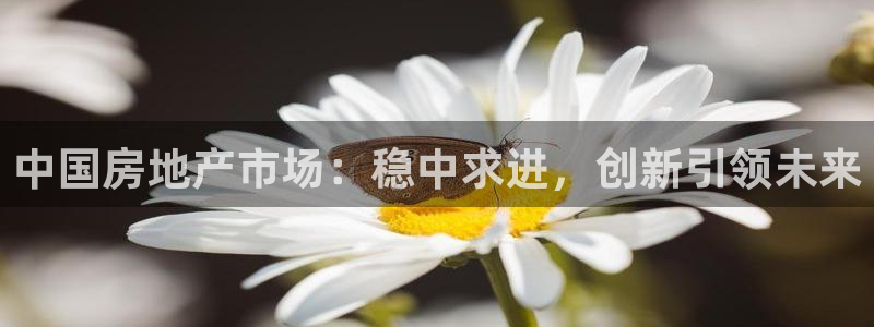 新宝5官网67五壹叁八：中国房地产市场：稳中求进，创新引领未