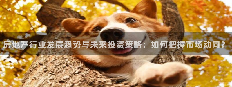新宝5总代：房地产行业发展趋势与未来投资策略：如何把握市场动
