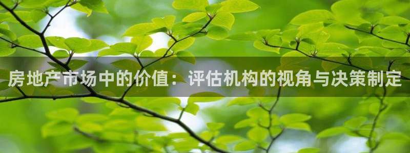 新宝5娱乐家：房地产市场中的价值：评估机构的视角与决策制定