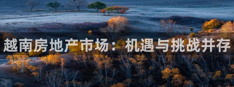 新宝5寂创33300散：越南房地产市场：机遇与挑战并存