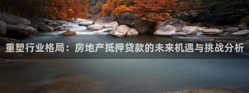 菲律宾新宝5老板：重塑行业格局：房地产抵押贷款的未来机遇与挑