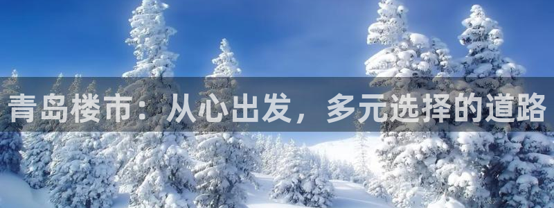 新宝5娱乐如：青岛楼市：从心出发，多元选择的道路