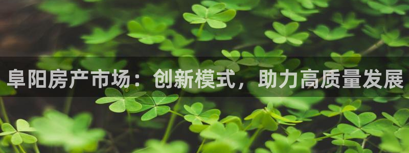 皇冠新宝5：阜阳房产市场：创新模式，助力高质量发展