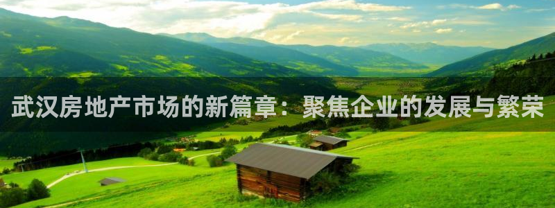 新宝5手机测速：武汉房地产市场的新篇章：聚焦企业的发展与繁荣