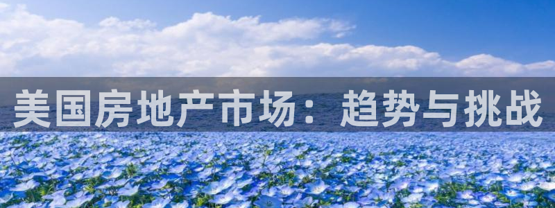 新宝5平台霸：美国房地产市场：趋势与挑战