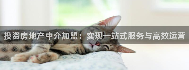 新宝5客户端登录：投资房地产中介加盟：实现一站式服务与高效运