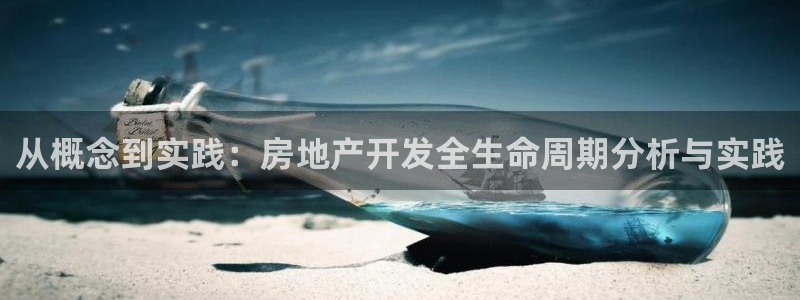 新宝5网：从概念到实践：房地产开发全生命周期分析与实践