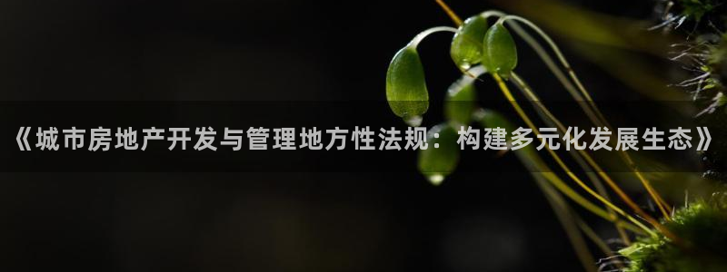 新宝5彩票是正规平台吗：《城市房地产开发与管理地方性法规：构