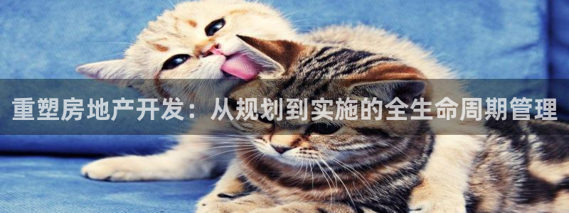 新宝5官方登录入口：重塑房地产开发：从规划到实施的全生命周期