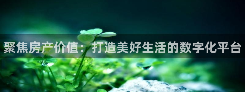 新宝股东王听2 5 5：聚焦房产价值：打造美好生活的数字化平
