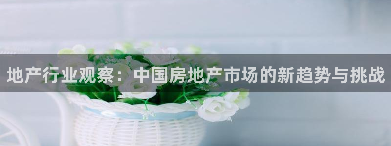 新宝5招商：地产行业观察：中国房地产市场的新趋势与挑战