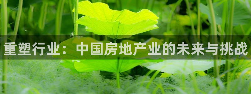 新宝5挂机软件：重塑行业：中国房地产业的未来与挑战