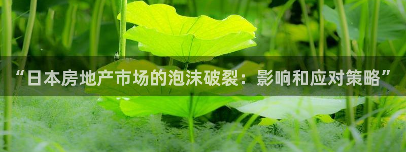 新宝5娱乐家：“日本房地产市场的泡沫破裂：影响和应对策略”