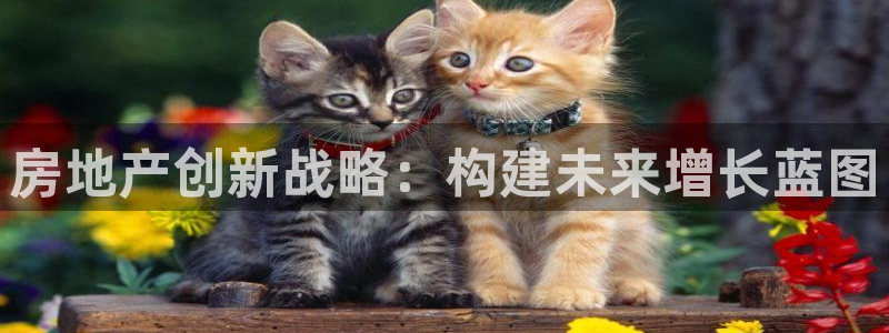 新宝5寂创33300散：房地产创新战略：构建未来增长蓝图
