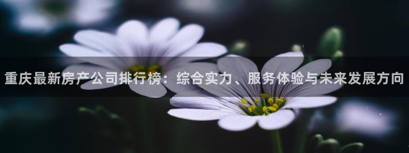 新宝5什么时候上市