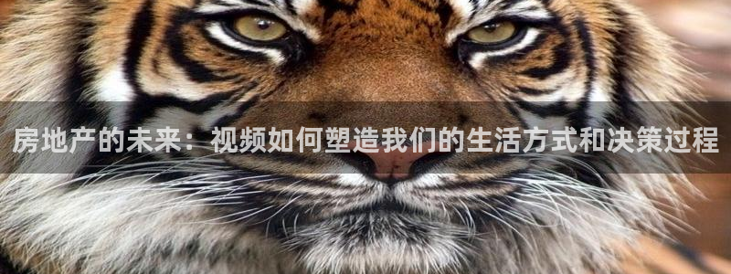 i新宝5：房地产的未来：视频如何塑造我们的生活方式和决策过程