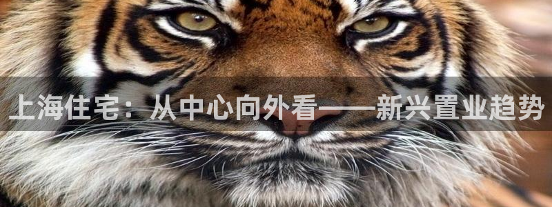 新宝5可靠吗：上海住宅：从中心向外看——新兴置业趋势