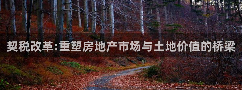 新宝5下载测试：契税改革:重塑房地产市场与土地价值的桥梁