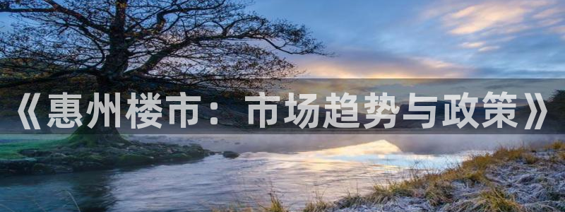 新宝5苹果手机下载：《惠州楼市：市场趋势与政策》