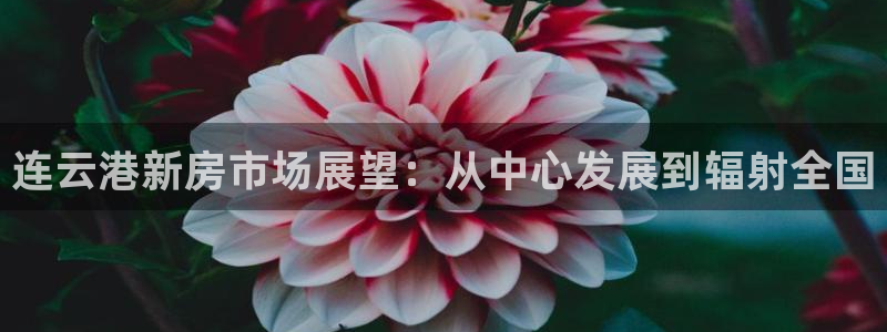 2022新宝骏rs 5：连云港新房市场展望：从中心发展到辐射