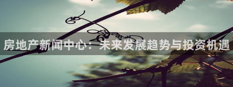 新宝5如何注册登录：房地产新闻中心：未来发展趋势与投资机遇