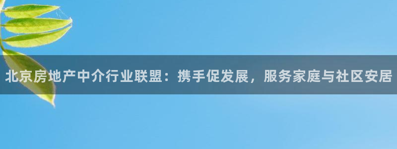 5新宝：北京房地产中介行业联盟：携手促发展，服务家庭与社区安