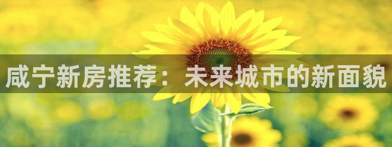 新宝5授权：咸宁新房推荐：未来城市的新面貌