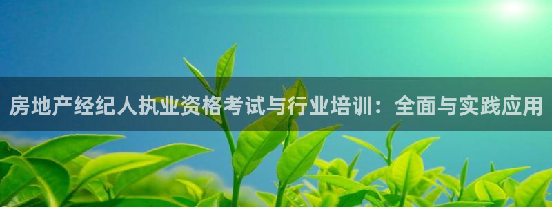 新宝gg5：房地产经纪人执业资格考试与行业培训：全面与实践应