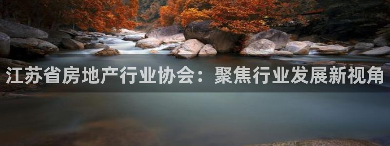 新宝5平台登录注册：江苏省房地产行业协会：聚焦行业发展新视角