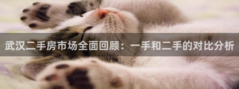 新宝5登录：武汉二手房市场全面回顾：一手和二手的对比分析