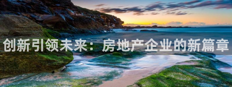 新宝5骗术：创新引领未来：房地产企业的新篇章