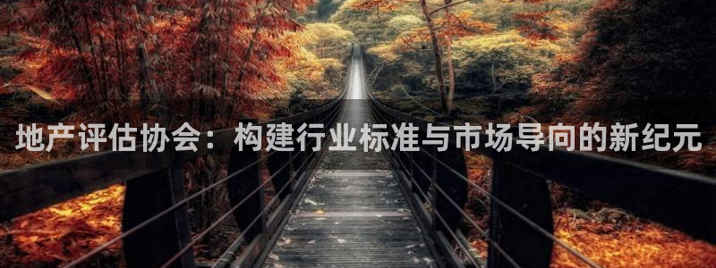 新宝5培训：地产评估协会：构建行业标准与市场导向的新纪元