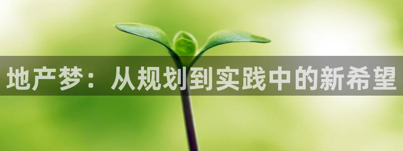 新宝5是什么样子的：地产梦：从规划到实践中的新希望