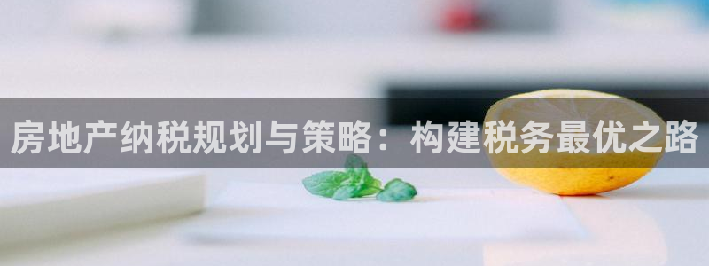 新宝5平台：房地产纳税规划与策略：构建税务最优之路