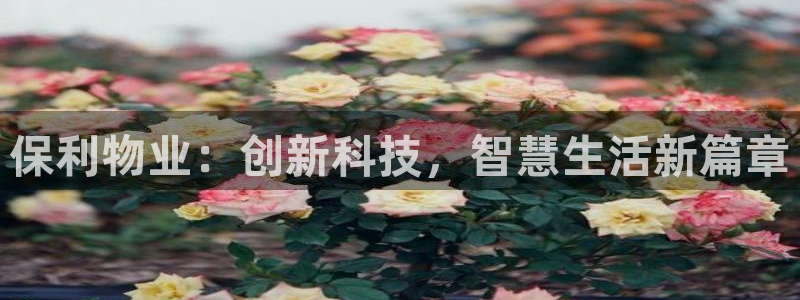 新宝5软件下载：保利物业：创新科技，智慧生活新篇章
