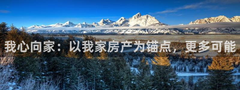新宝5app：我心向家：以我家房产为锚点，更多可能