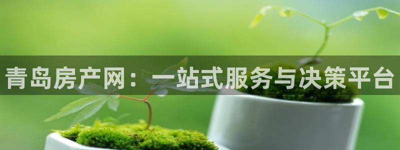 新宝5娱乐：青岛房产网：一站式服务与决策平台