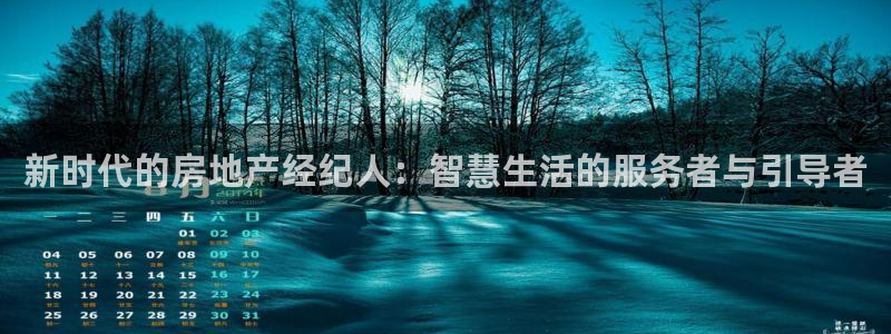 新宝5为啥开：新时代的房地产经纪人：智慧生活的服务者与引导者