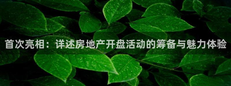 新宝5官网67五壹叁八：首次亮相：详述房地产开盘活动的筹备与