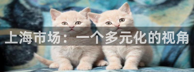 新宝5手机测速：上海市场：一个多元化的视角