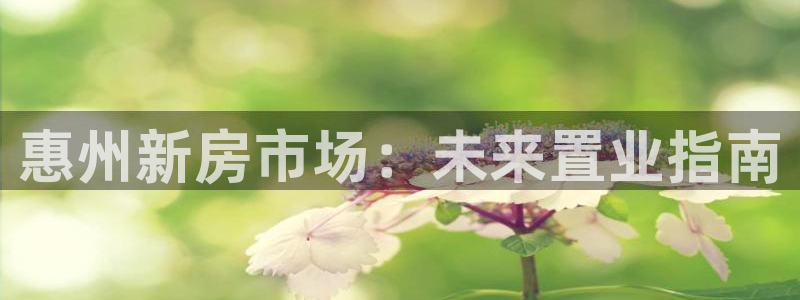 新宝5注册登录：惠州新房市场：未来置业指南