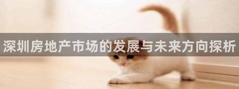 新宝那2O5O5O：深圳房地产市场的发展与未来方向探析