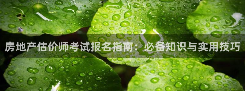 新宝5找找74OOO5：房地产估价师考试报名指南：必备知识与