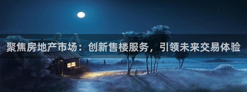 新宝5招商222111：聚焦房地产市场：创新售楼服务，引领未