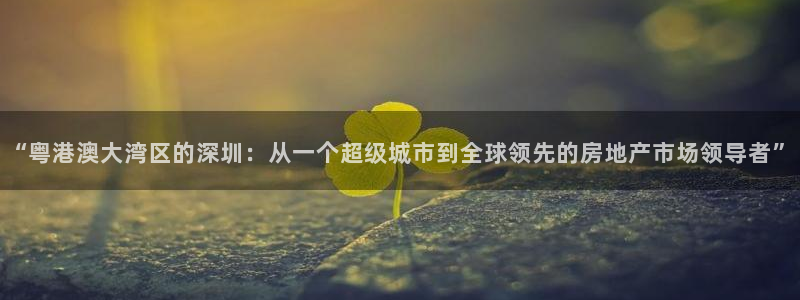5新宝：“粤港澳大湾区的深圳：从一个超级城市到全球领先的房地
